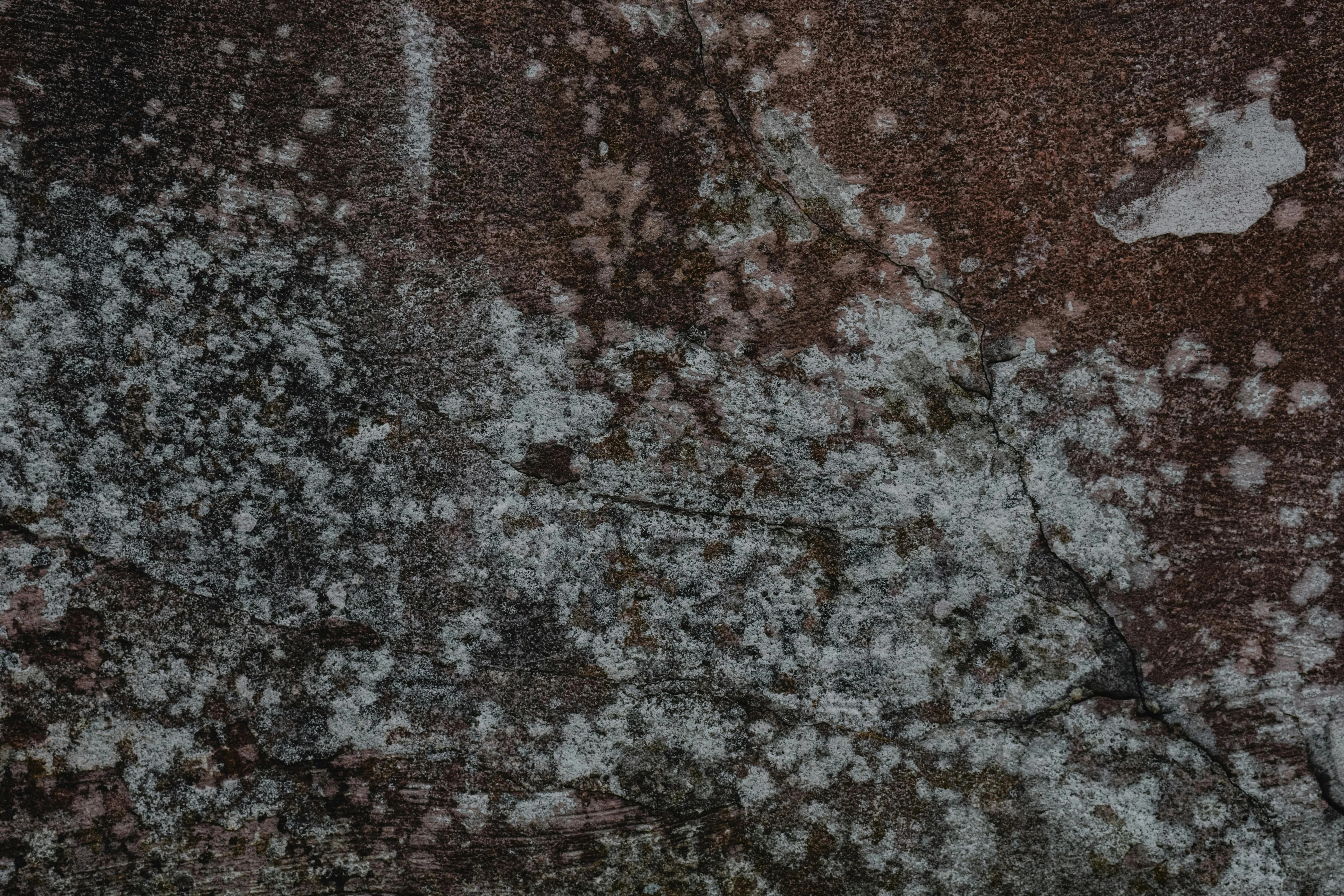 Odgrzybianie klimatyzacji